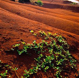 粉丝希望《星之海洋3》重制 SE：已知晓 但目前没有任何承诺